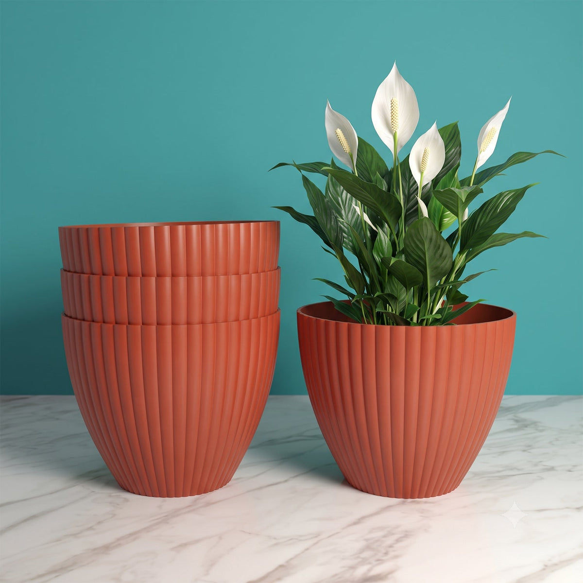 Plastic Flower Pots Ð Durable Round Planters for Home & Garden | Plant Edge