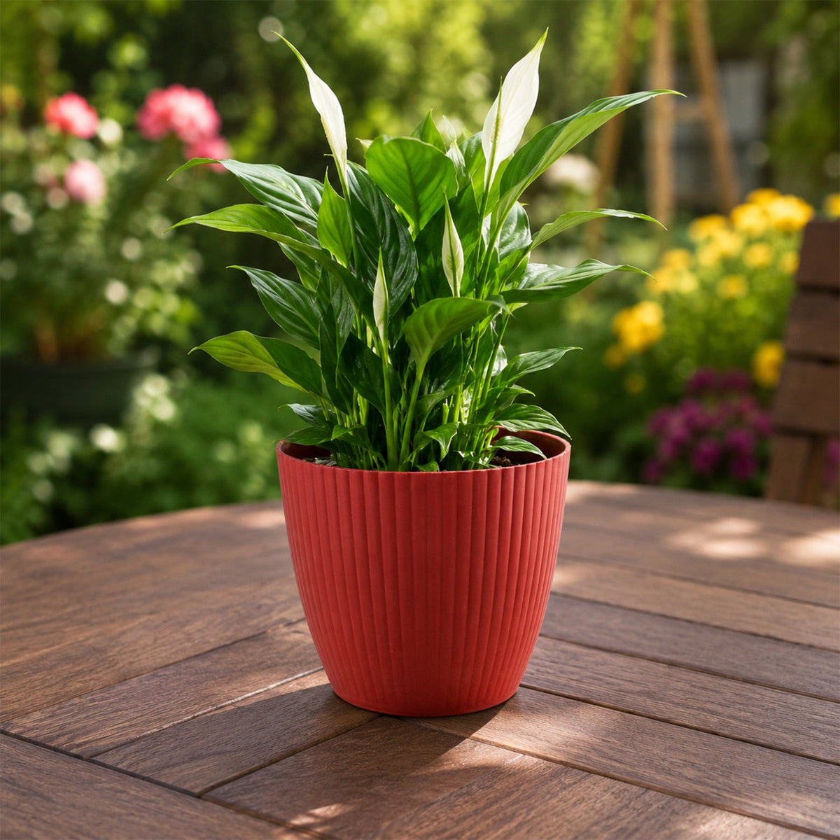 Plastic Flower Pots Ð Durable Round Planters for Home & Garden | Plant Edge